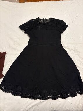 Ever New Black Lace-Trim Fit & Flare Mini Dress